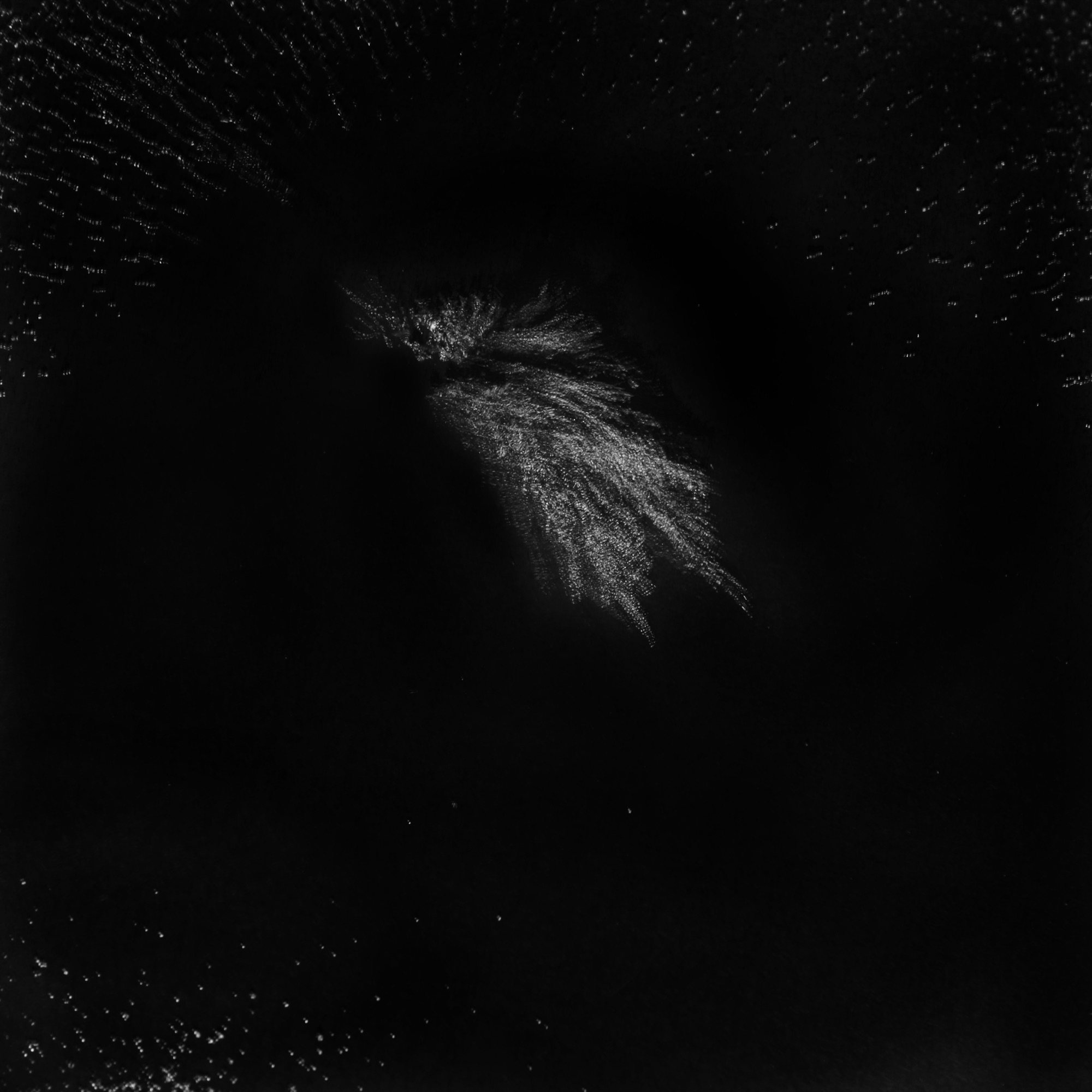 Affinity 3