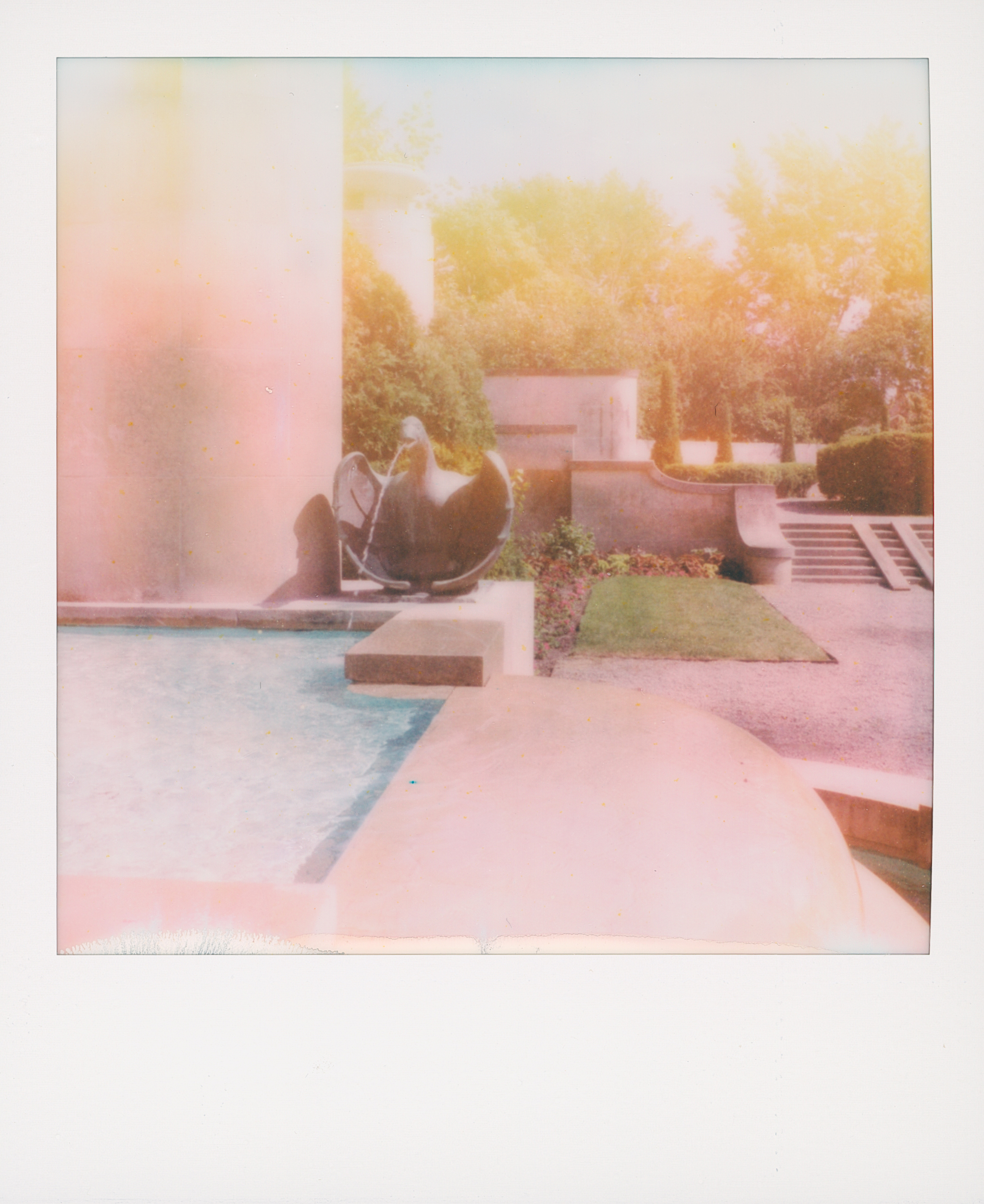 Polaroid 4