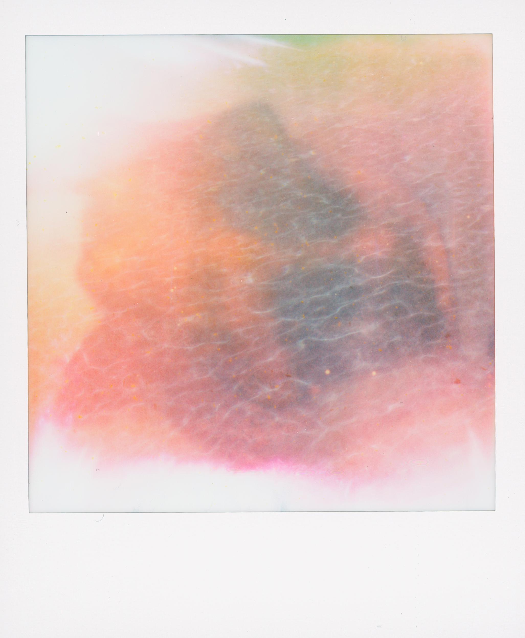 Polaroid 6
