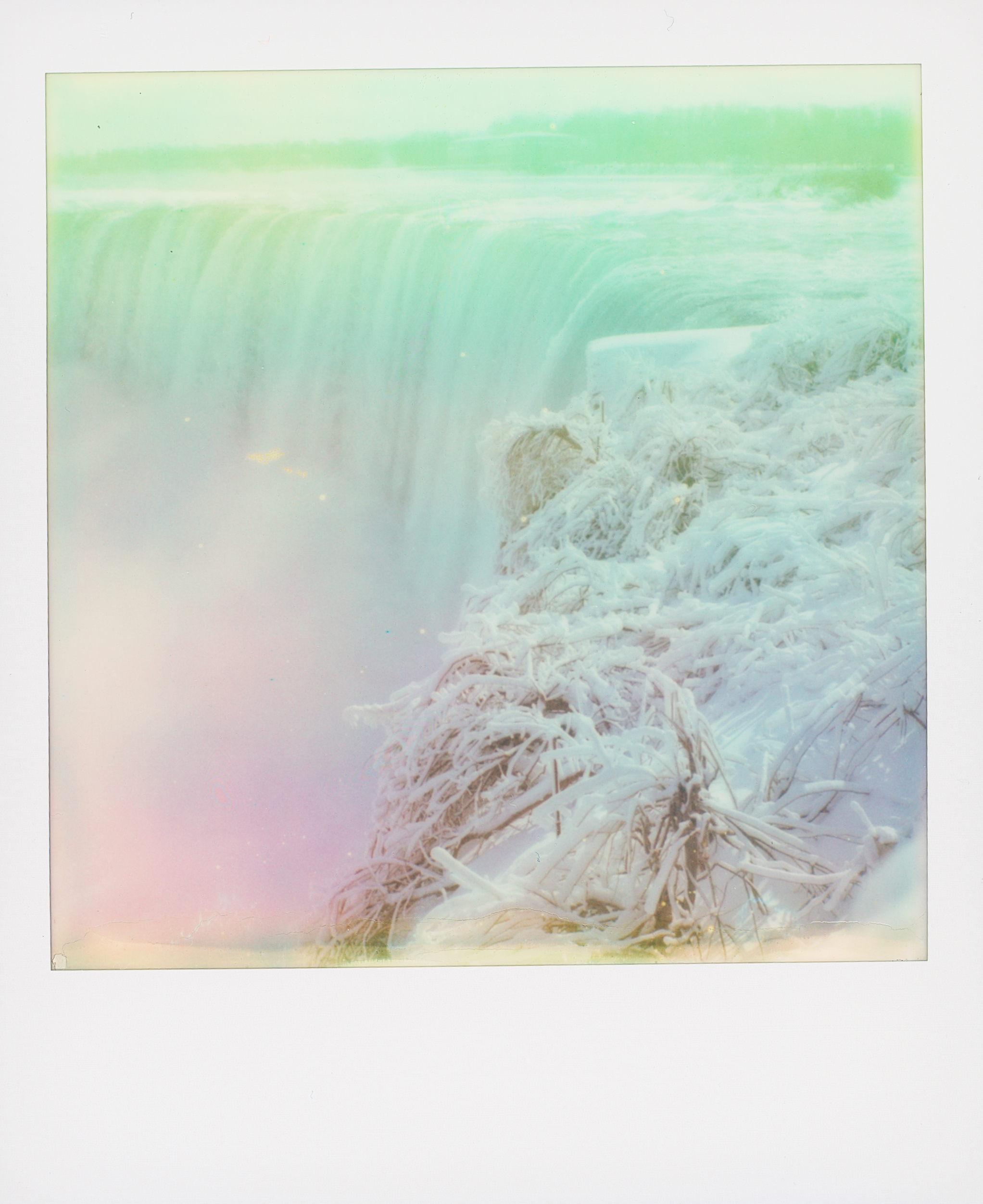 Polaroid 1