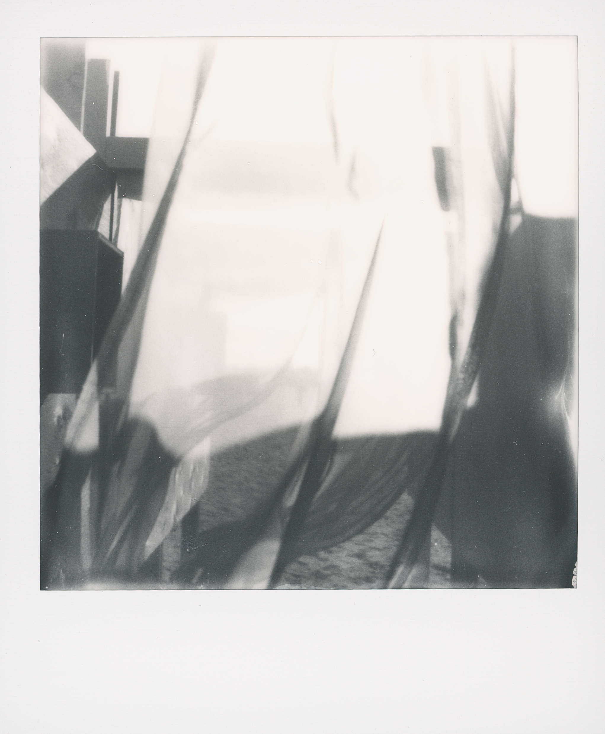 Polaroid 14