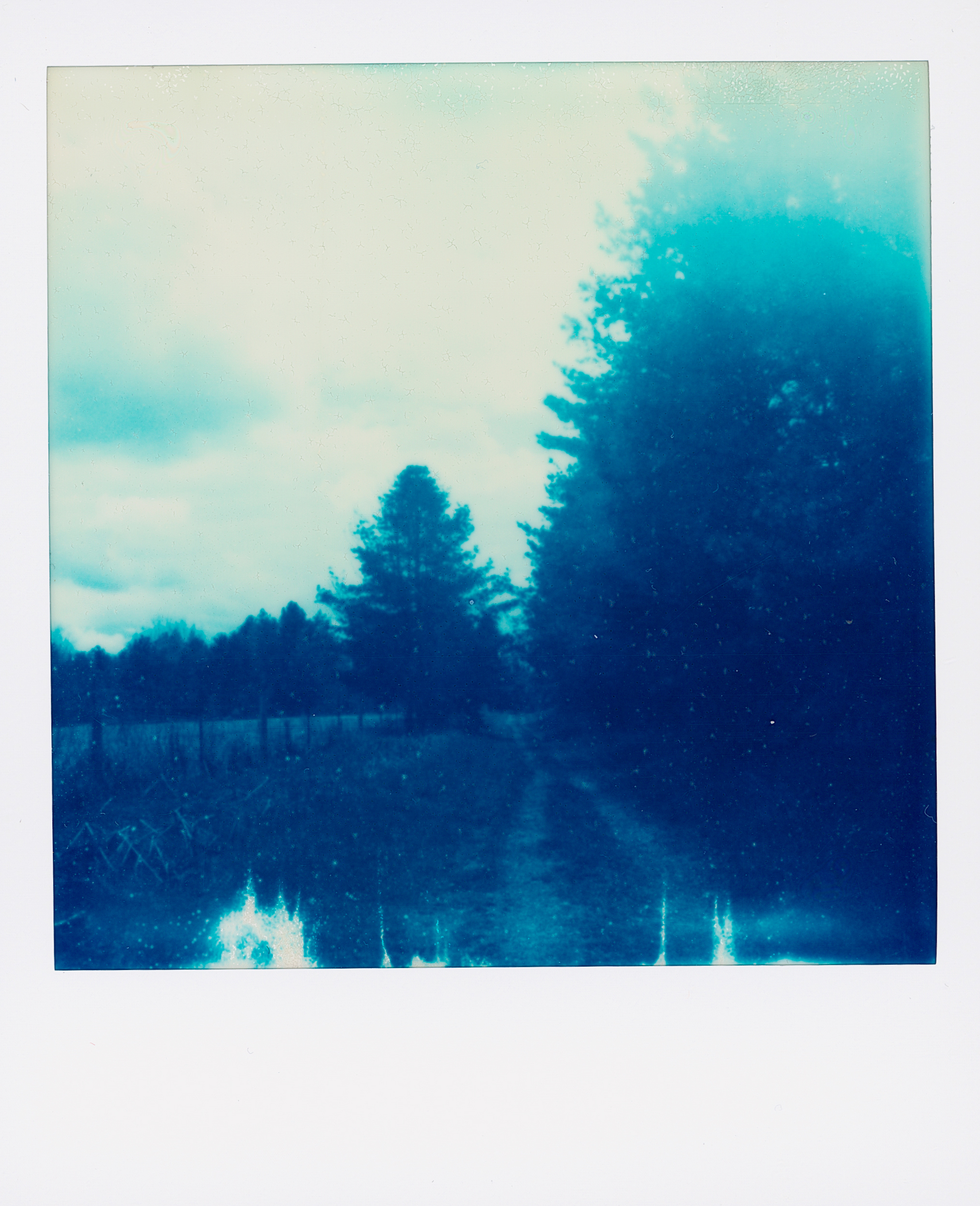 Polaroid 18
