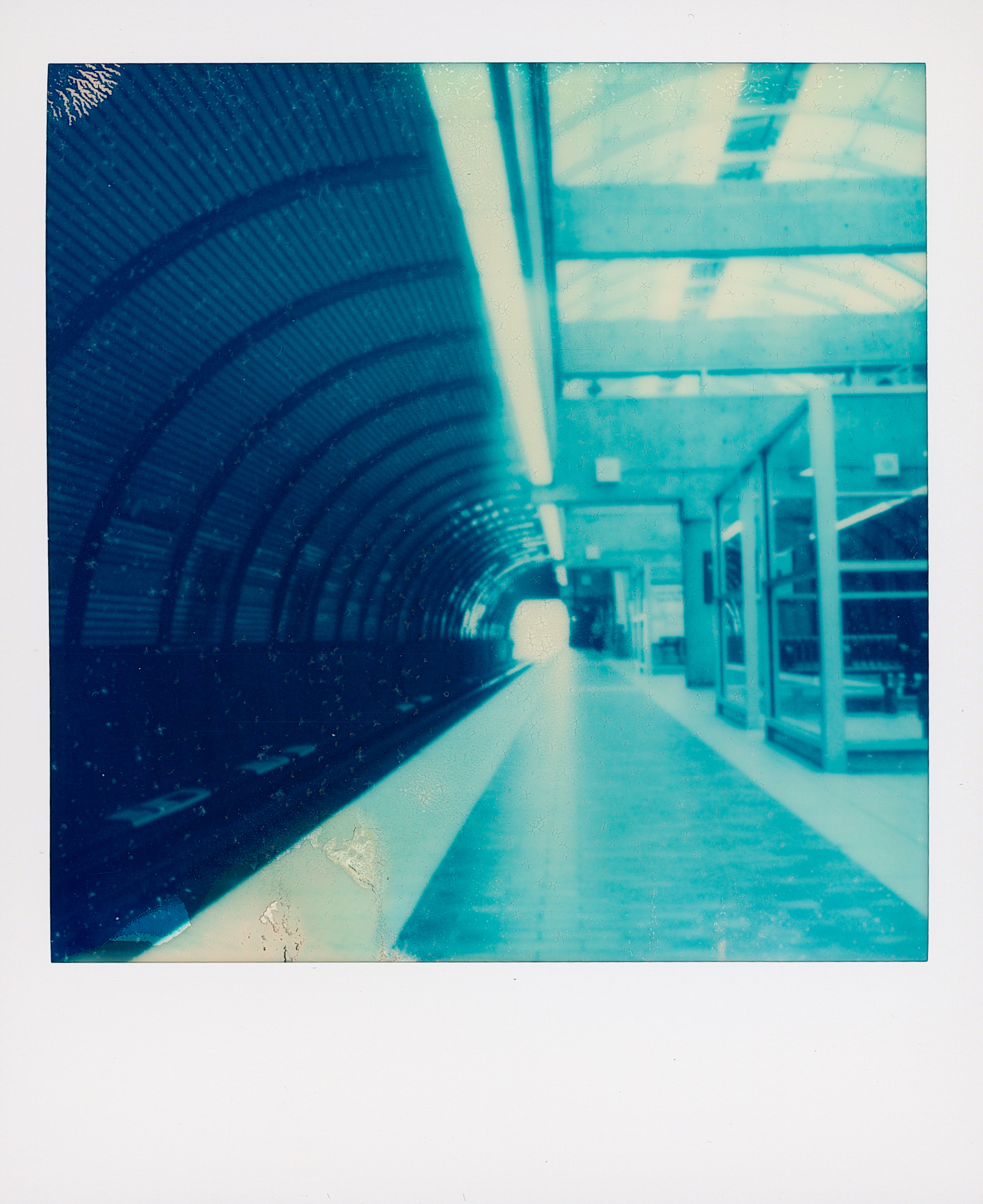 Polaroid 16