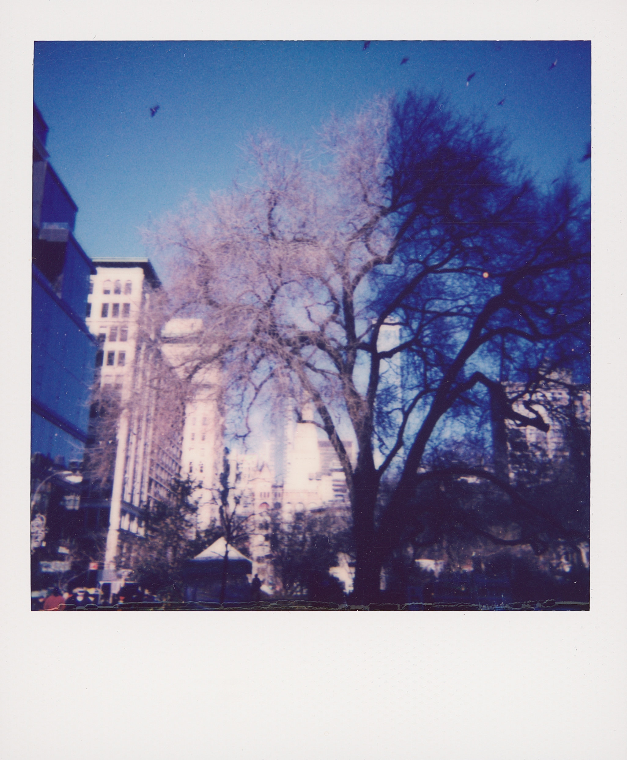 Polaroid 8