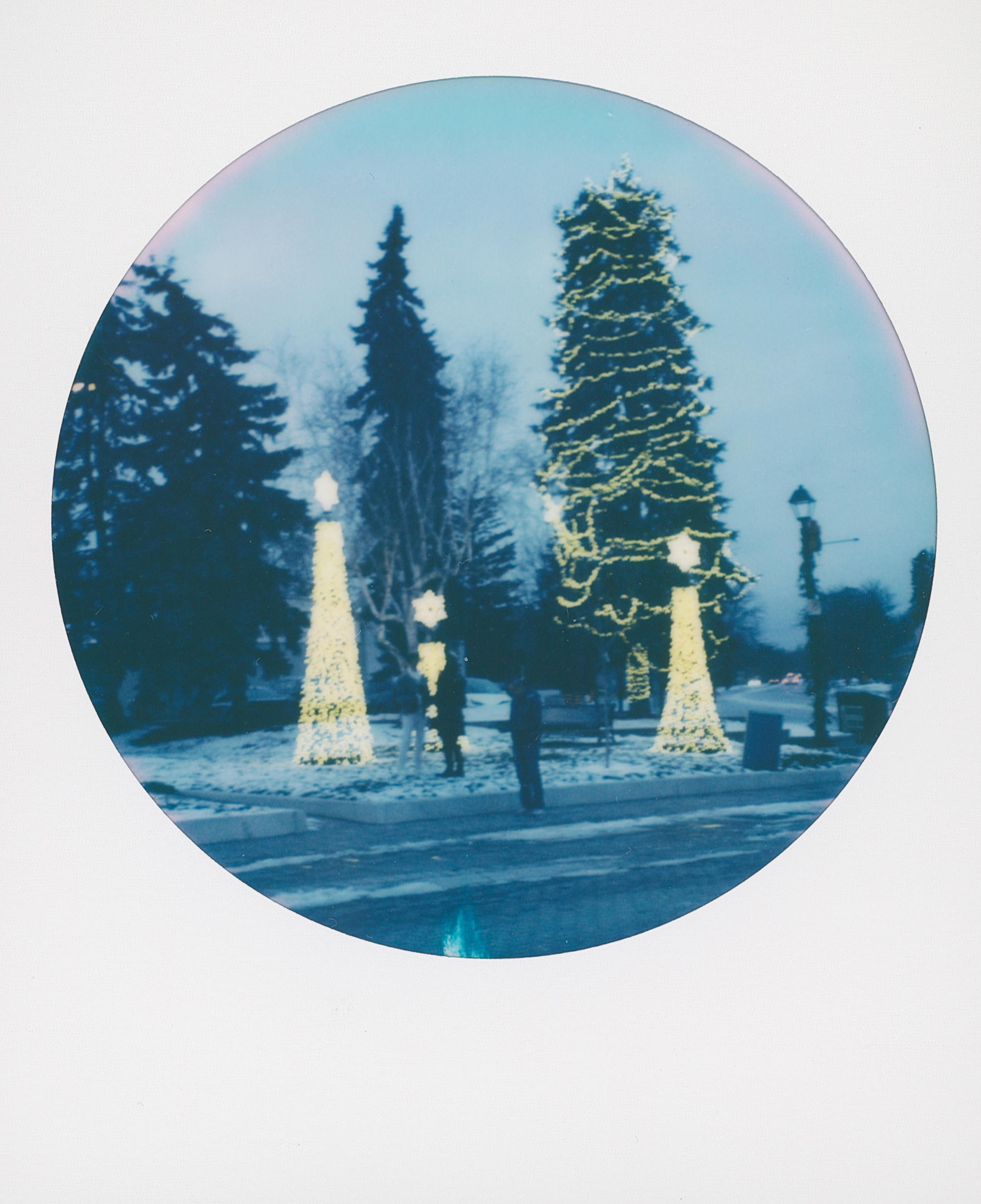 Polaroid 10