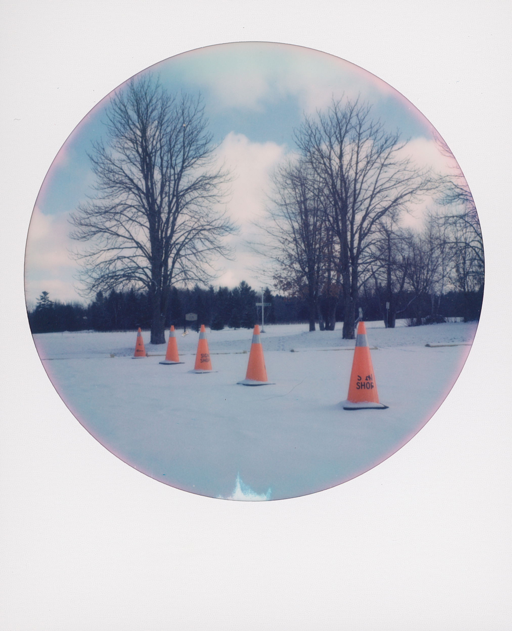 Polaroid 12