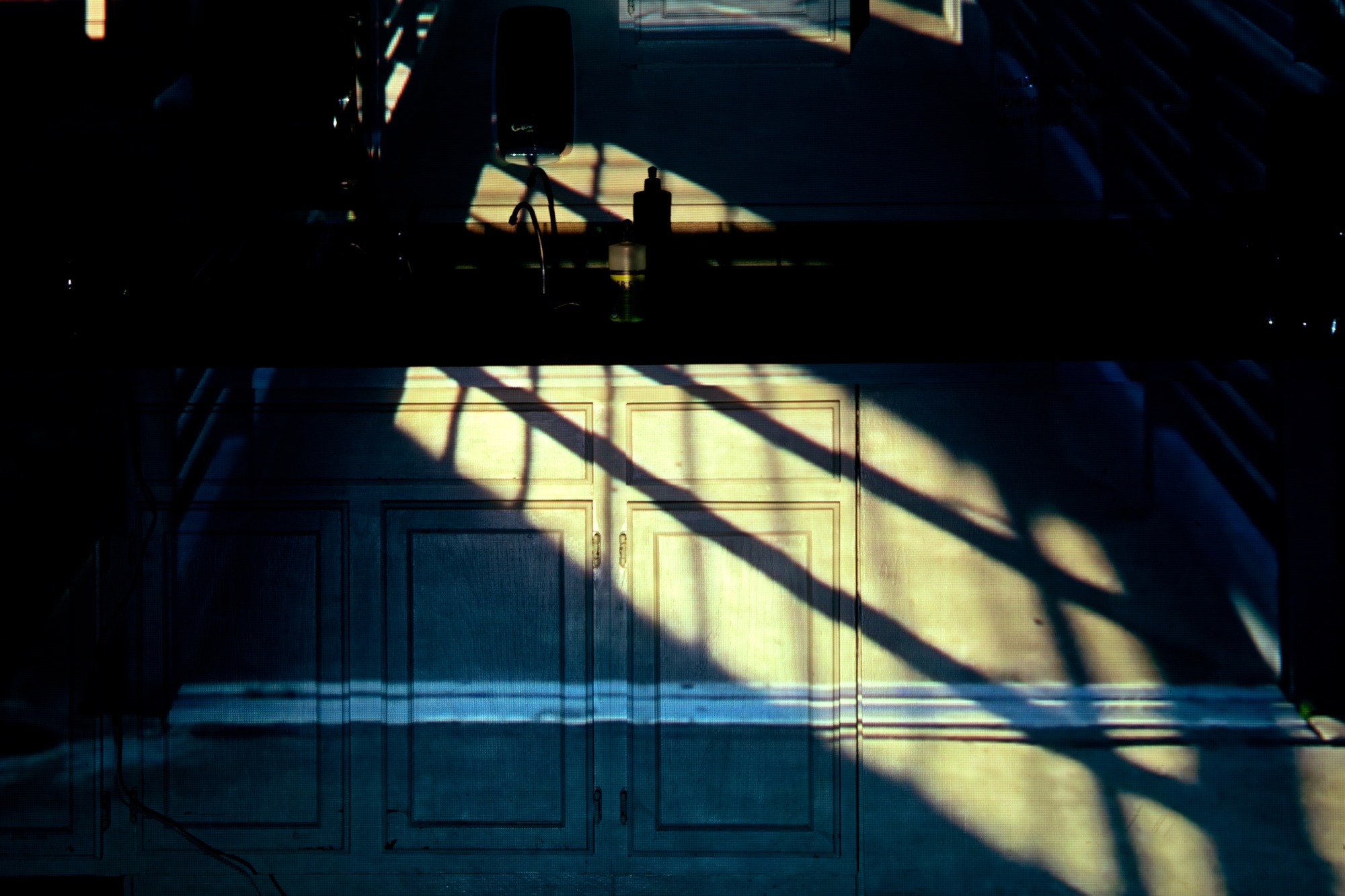 Hallucination 4