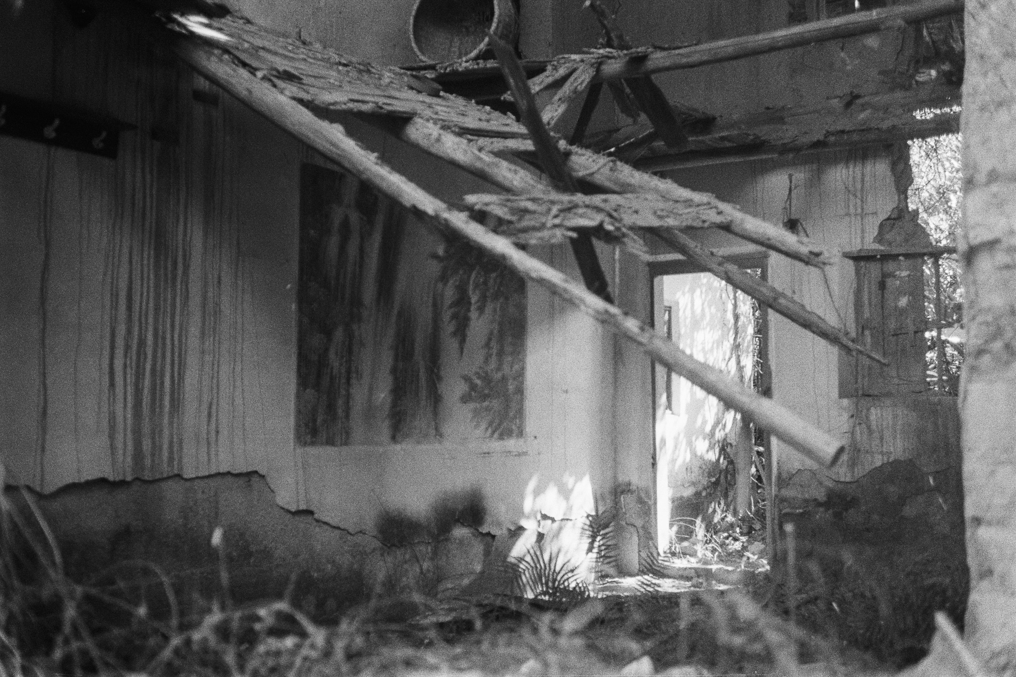 What Remains 6