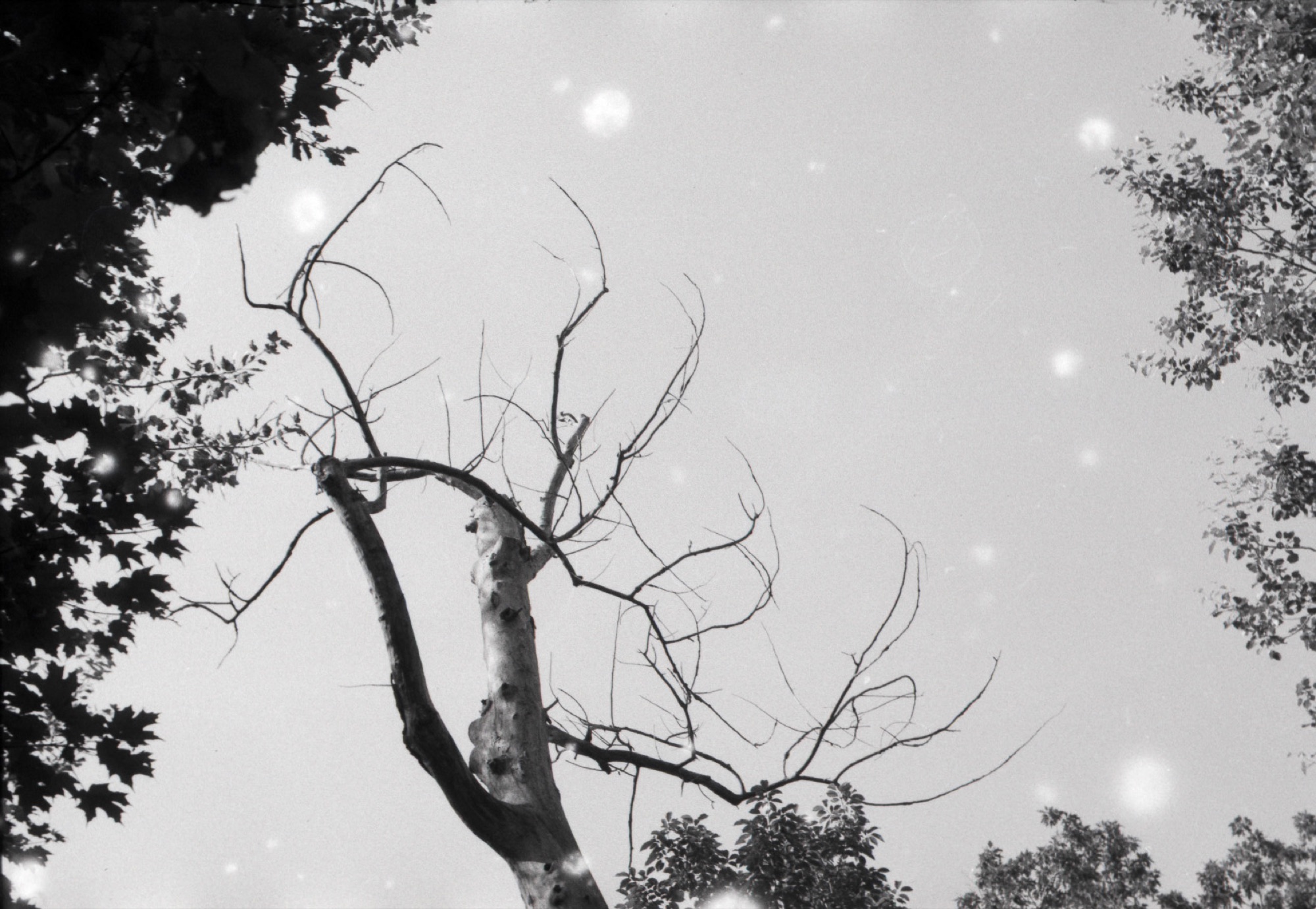 What Remains 7